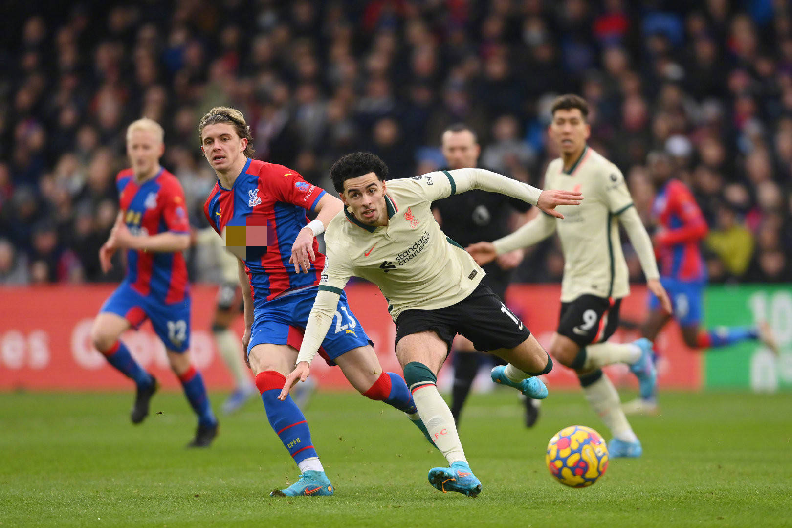 在这个激动 在这个激动